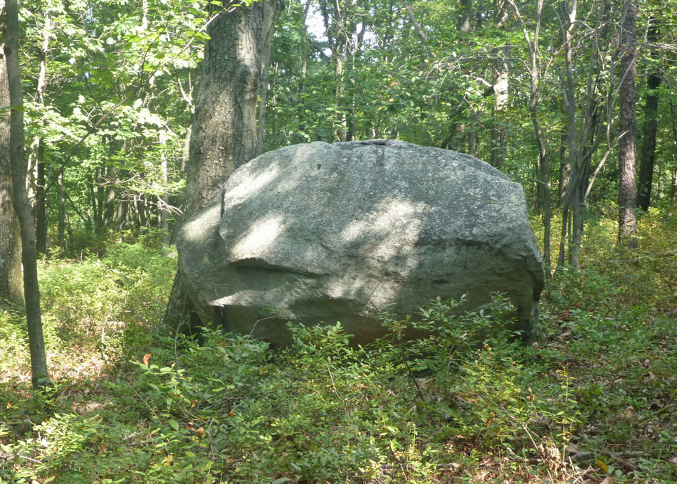 Glacial Erratic